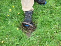 Grass, a dark circle of earth and a metal hoop protruding from the ground..
