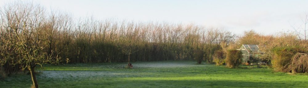 Robin Stanley Taylor